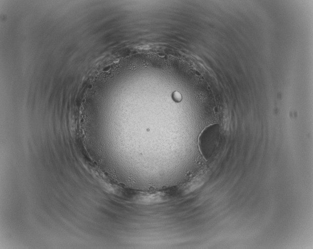 X0000075410569200609291709