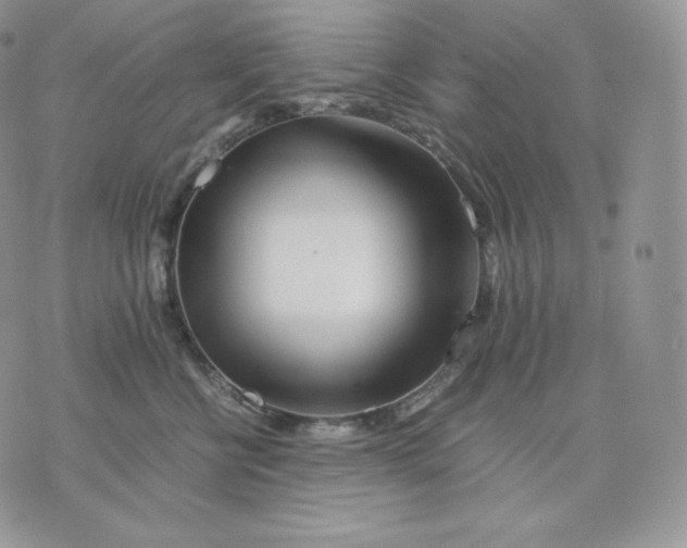 X0000075410570200609291709