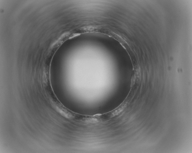 X0000075410572200609291709