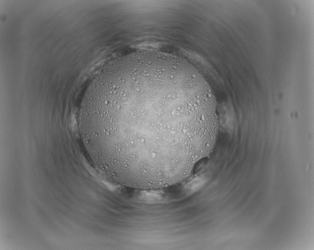 X0000075410573200609291709