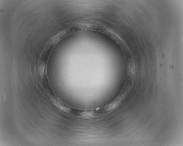 X0000075410574200609291709