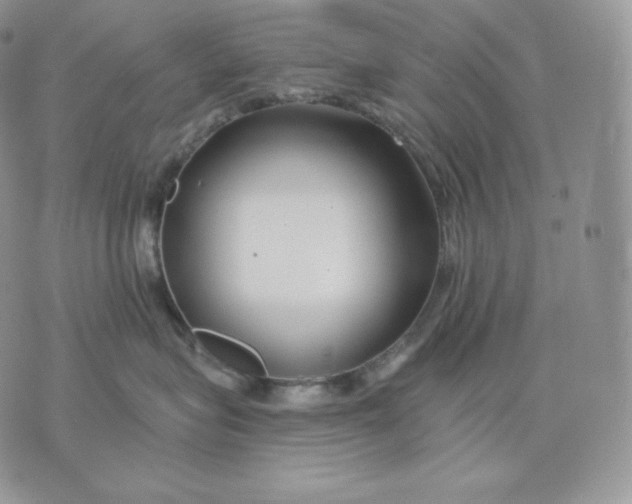 X0000075410575200609291709