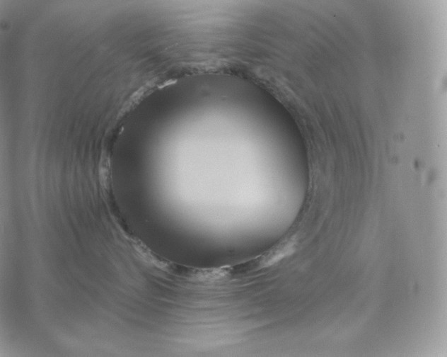 X0000075410576200609291709