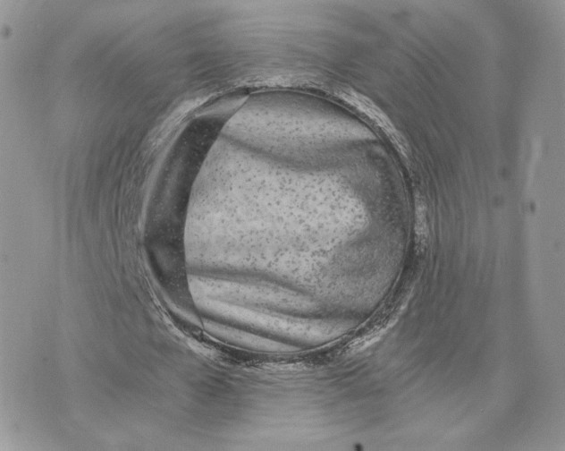 X0000075410577200609291708