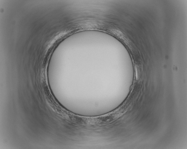 X0000075410579200609291708