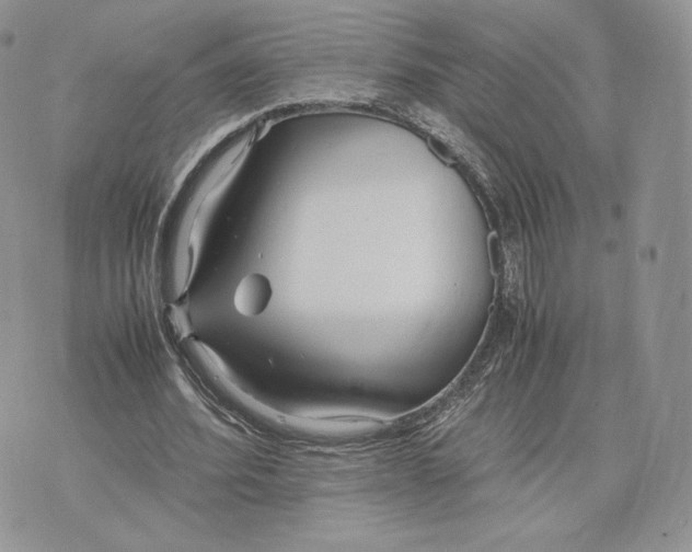 X0000075410580200609291708