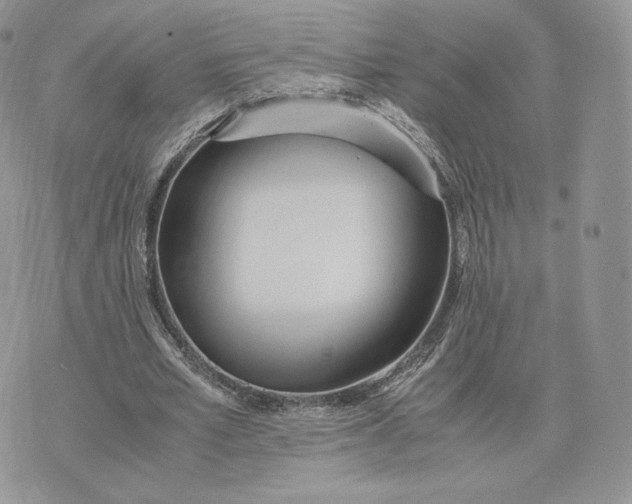 X0000075410581200609291708