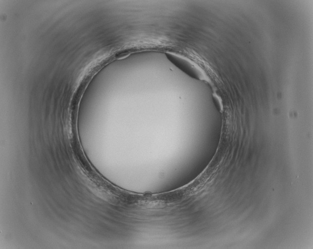 X0000075410582200609291708