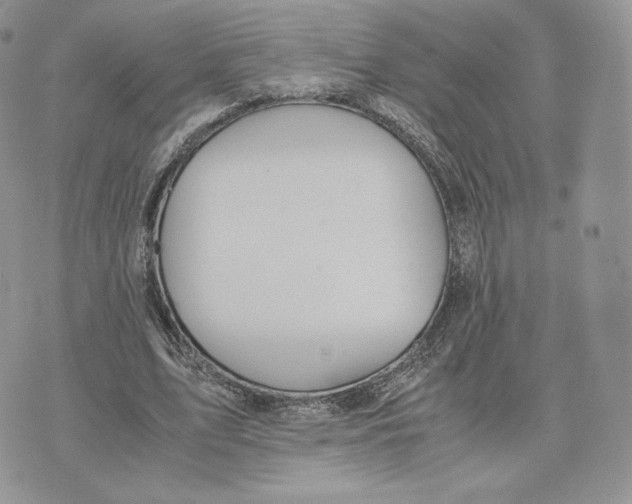 X0000075410583200609291708