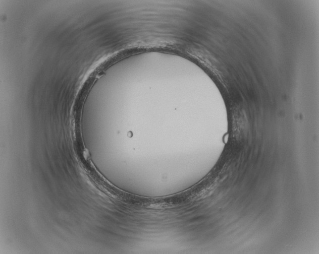 X0000075410584200609291708