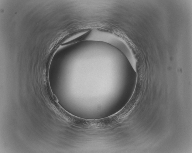 X0000075410585200609291708