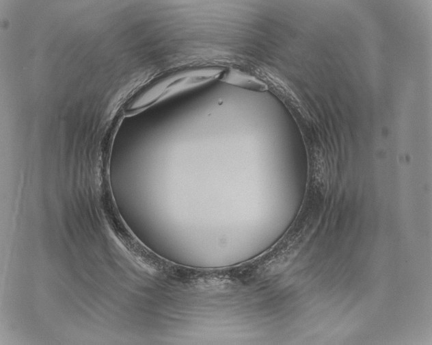 X0000075410586200609291708