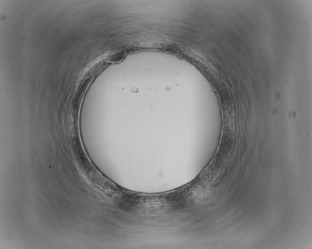 X0000075410587200609291708