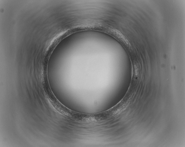 X0000075410588200609291708