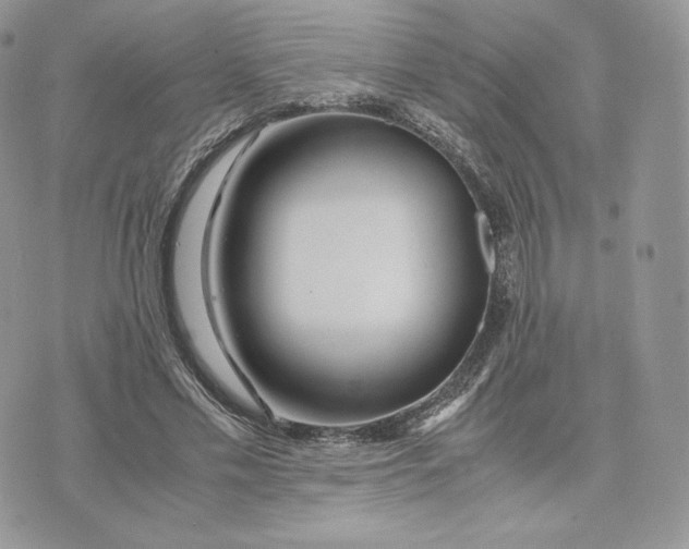 X0000075410589200609291708