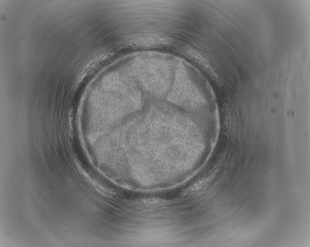 X0000075410590200609291708