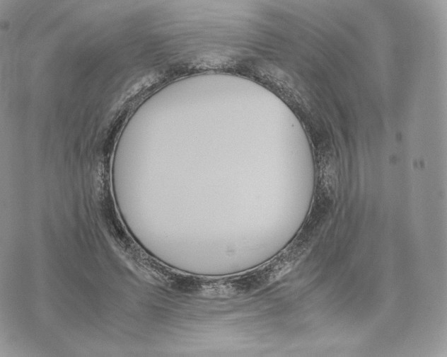 X0000075410591200609291708