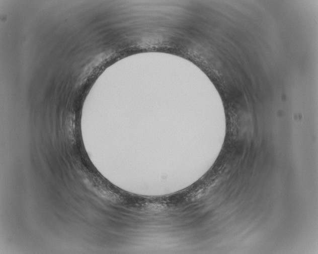 X0000075410592200609291708