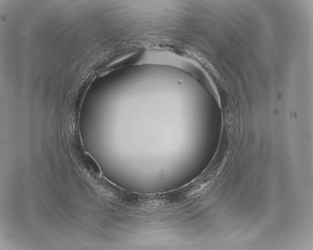 X0000075410593200609291708