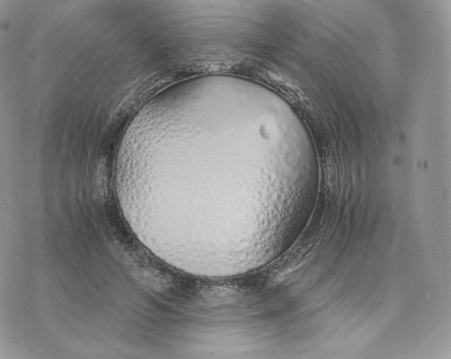 X0000075410594200609291708