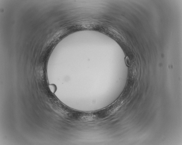 X0000075410595200609291708