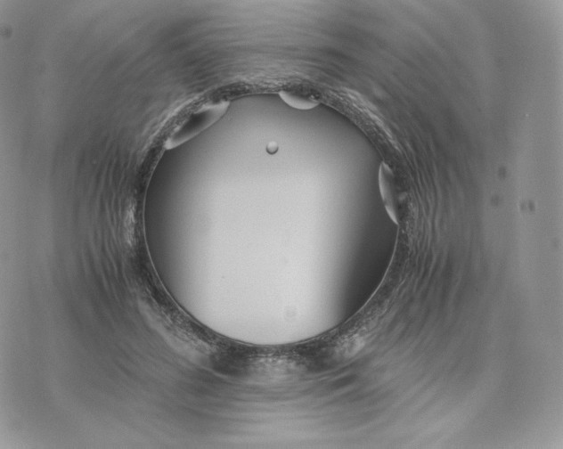 X0000075410596200609291708