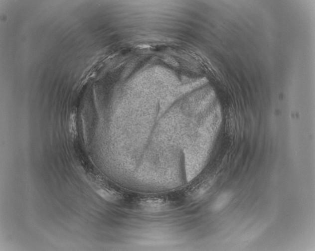 X0000075410598200609291708