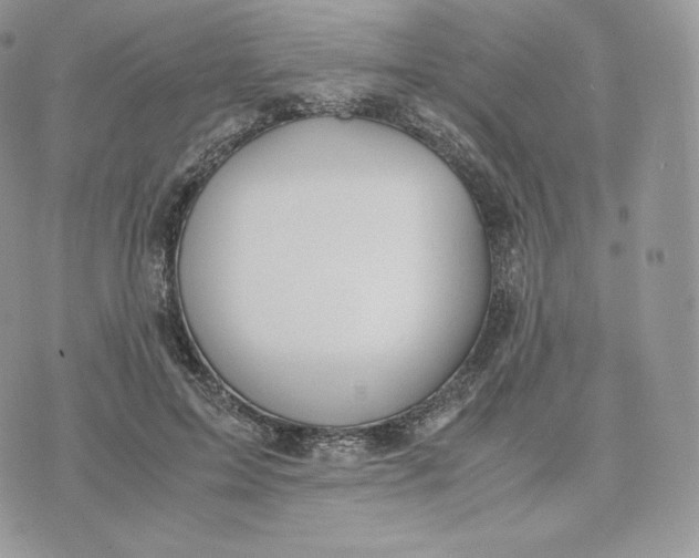 X0000075410599200609291708