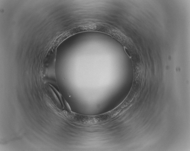 X0000075410600200609291708