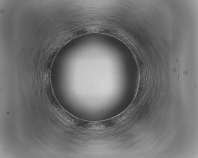 X0000075410601200609291708