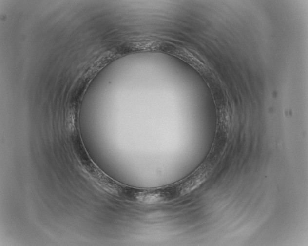 X0000075410602200609291708