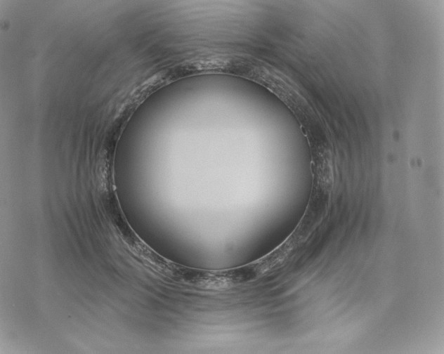 X0000075410604200609291708