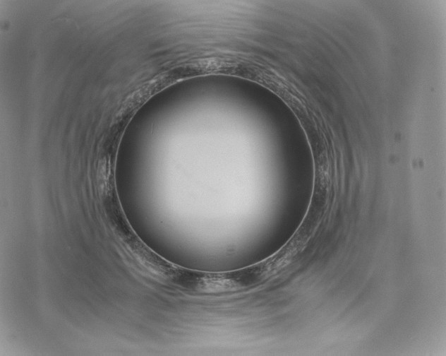 X0000075410605200609291708