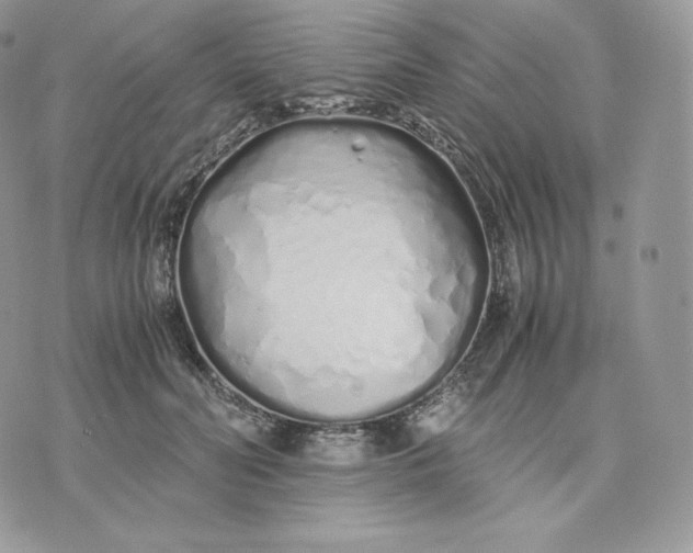 X0000075410606200609291708