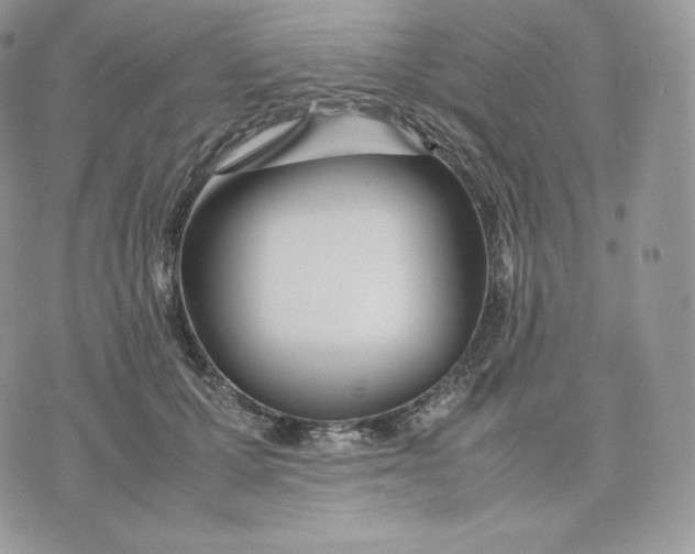 X0000075410607200609291708