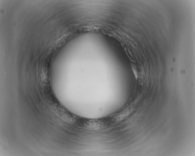 X0000075410608200609291708