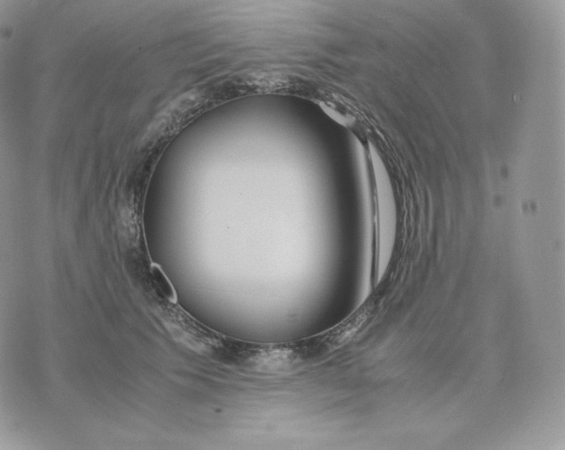 X0000075410609200609291708