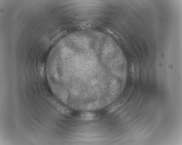 X0000075410610200609291708