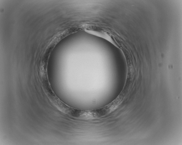 X0000075410611200609291708