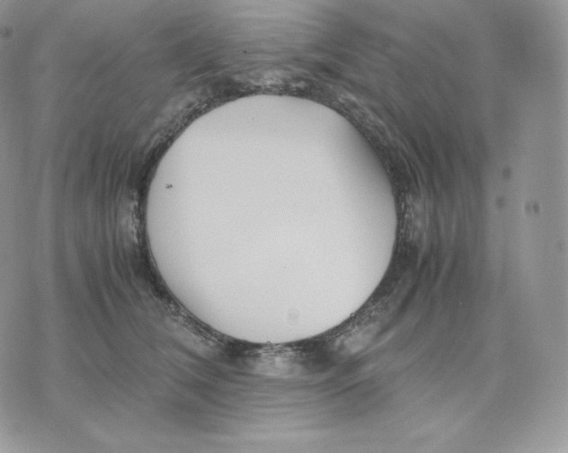 X0000075410612200609291708