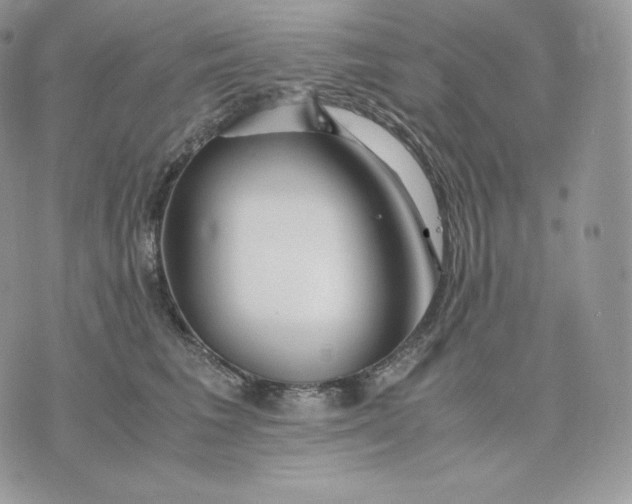 X0000075410613200609291708