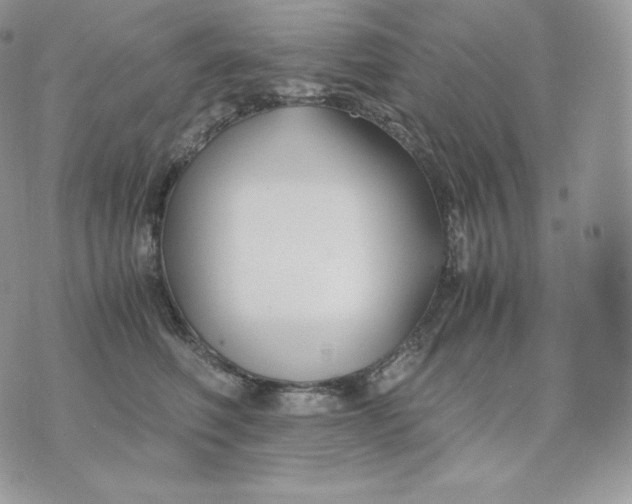 X0000075410614200609291708