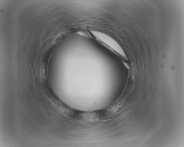 X0000075410615200609291708