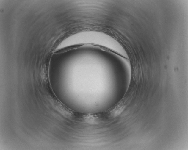 X0000075410616200609291708