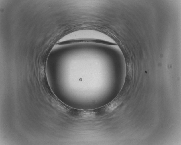 X0000075410617200609291708