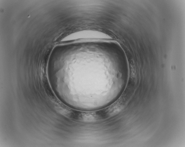 X0000075410618200609291708