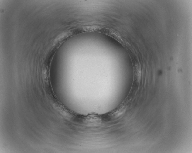 X0000075410619200609291708