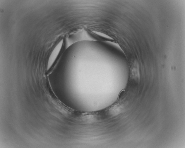 X0000075410620200609291708