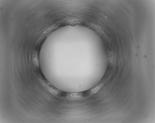 X0000075410622200609291708