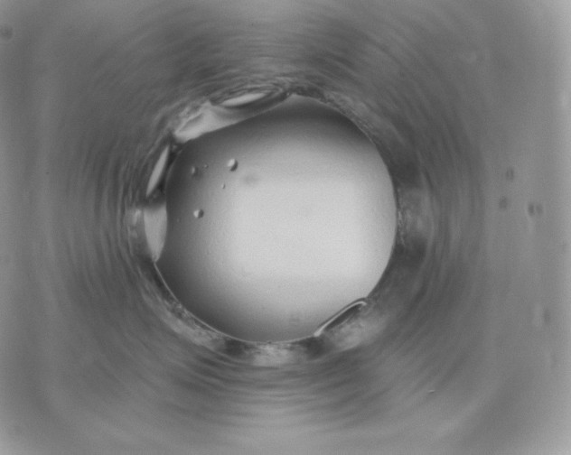 X0000075410623200609291708